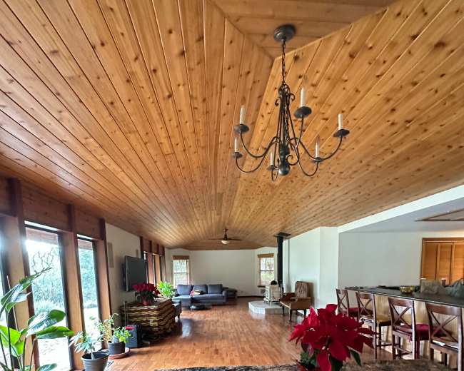 The image shows an spacious interior with wooden ceilings, a dining area featuring a table and chairs, and a living area with a couch and several potted plants.