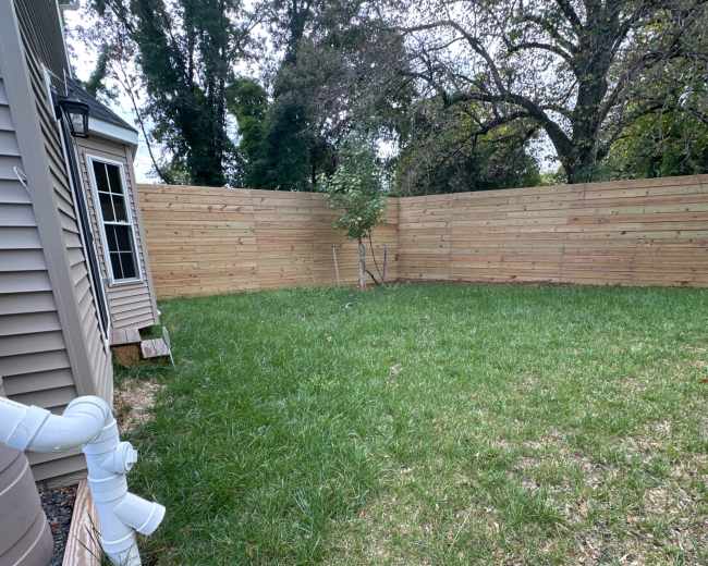 The image shows a fenced backyard with grass and a small tree near the corner of the wooden fence.