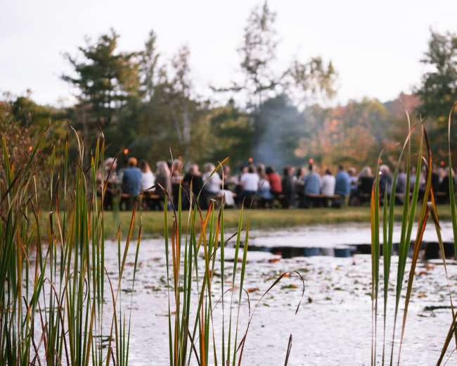 A group of people gathers around a table near a pond, surrounded by tall grasses and trees.