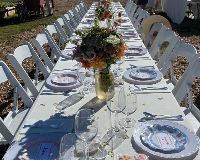 A long outdoor dining table is set with plates, glasses, and floral centerpieces under a clear blue sky.
