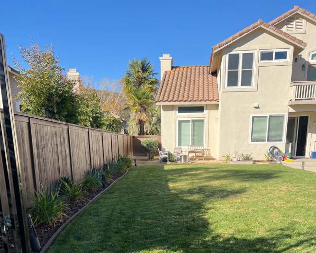 The image shows a well-maintained backyard featuring a green lawn, a fence on one side, and a house with a patio area in the background.