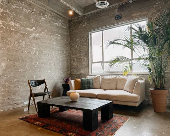 The scene features a cozy living area with a beige sofa, a wooden coffee table, a potted plant, and a window letting in natural light, all set against a concrete wall.