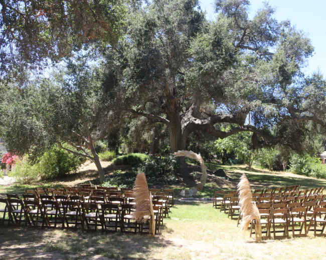 A large outdoor area features rows of wooden chairs facing a central arch under a sprawling tree, surrounded by greenery.