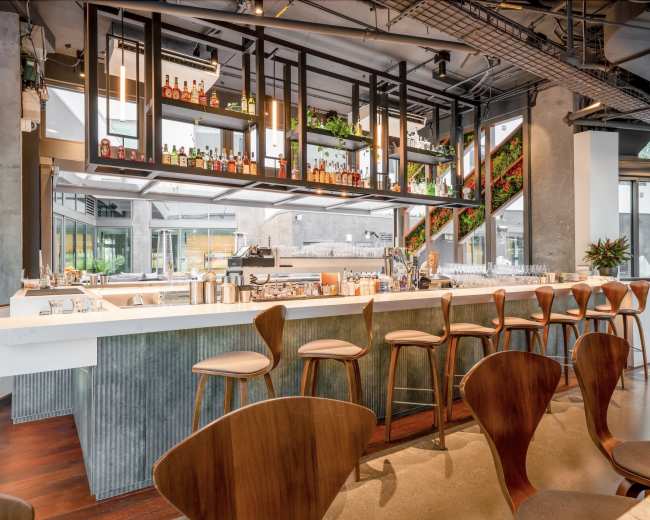 The image shows a modern bar area with a clean white countertop, wooden stools, and shelves displaying various bottles and greenery.