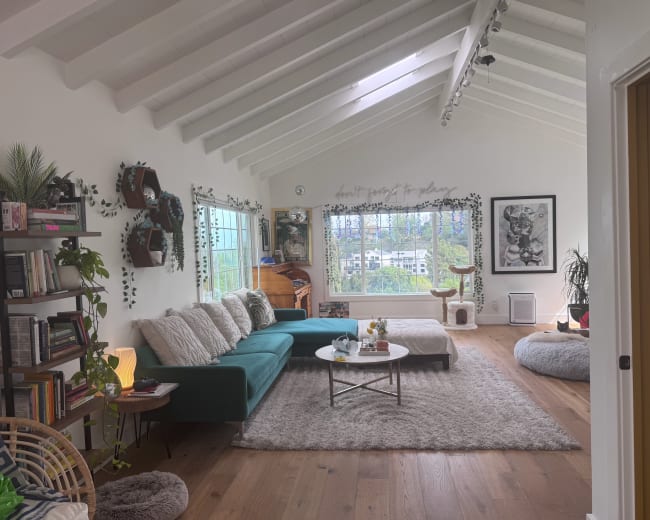 A cozy living room features a teal sofa, a soft area rug, and large windows with a view of greenery outside.