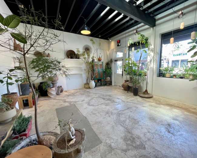 The image shows a bright indoor space with various potted plants, clay pots, and a concrete floor under a wooden beam ceiling.