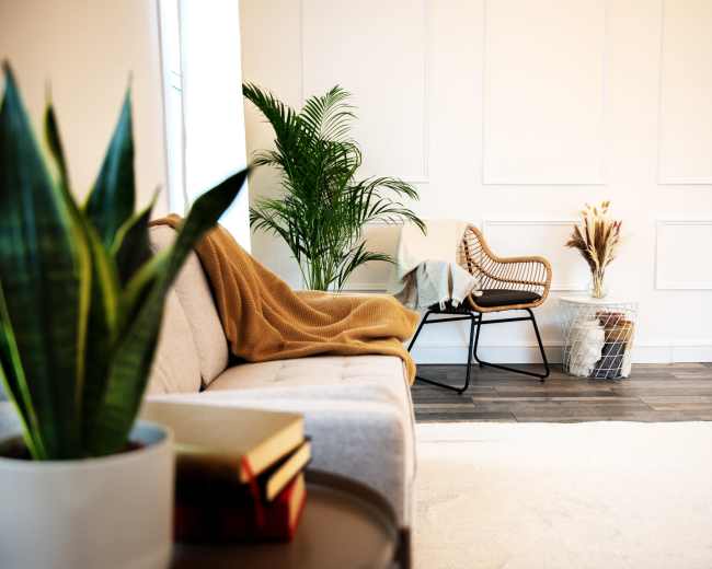 A cozy living room features a light-colored sofa, a rattan chair with a throw blanket, potted plants, and a small table with stacked books.