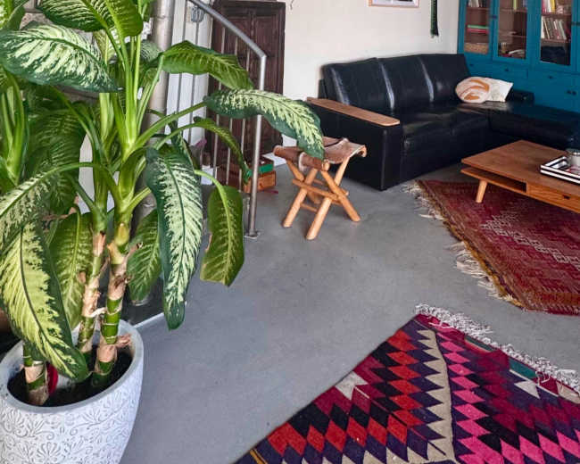 The image shows a spacious living area featuring a spiral staircase, a black leather sofa, a wooden coffee table, and decorative plants.