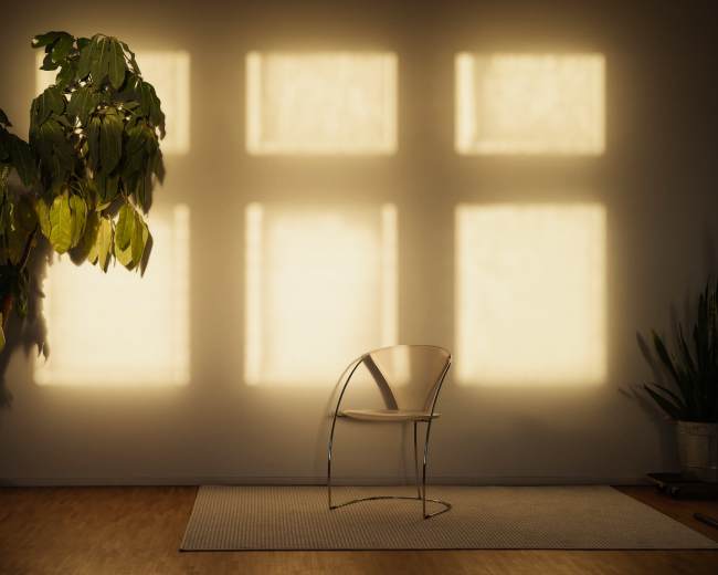 A single transparent chair is positioned on a rug in front of a wall illuminated by the shadows of a large plant and sunlight filtering through large windows.