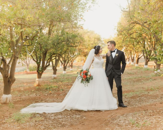 A bride in a flowing white gown and a groom in a black suit stand together in an orchard surrounded by trees.
