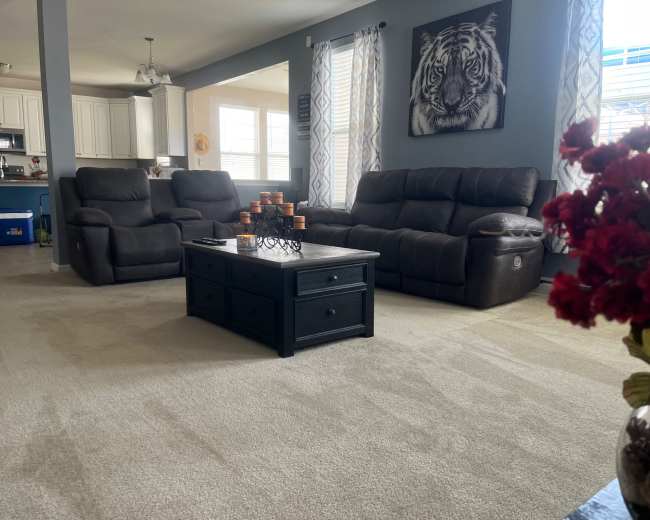 A living room with two dark recliners, a central coffee table, and a wall adorned with a tiger portrait.