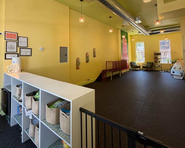 The image shows a brightly colored, yellow-walled interior of a pet facility featuring a check-in area with shelving, a gated entrance, and a seating area with chairs.
