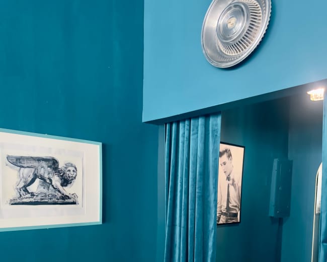 The image shows a teal-walled corridor with a framed artwork of a lion, a black-and-white portrait on the wall, a curtain, and a round zebra-striped rug on the floor.