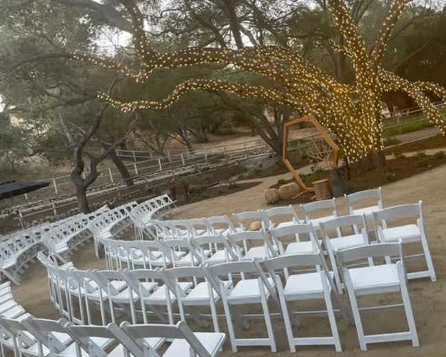 A set-up for an outdoor event with white chairs arranged in rows beneath a tree adorned with string lights.