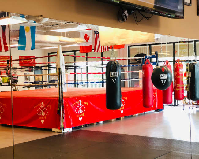 The image shows a boxing gym with a red boxing ring, hanging punching bags, and various flags displayed on the walls.