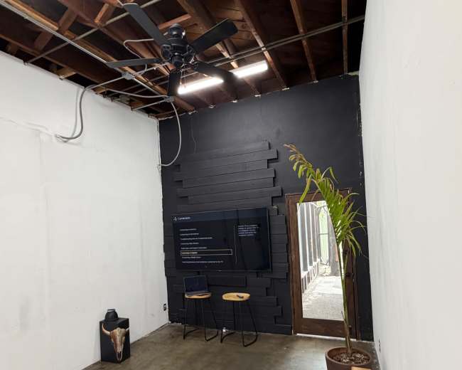 The image shows a minimalistic room with a dark wall featuring a television, a wooden chair, a tall potted plant, and a wooden bench near the entrance.