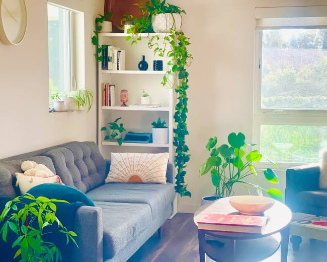 The image shows a bright living room featuring a gray couch, a bookshelf with plants, and a round coffee table, all illuminated by natural light from a large window.