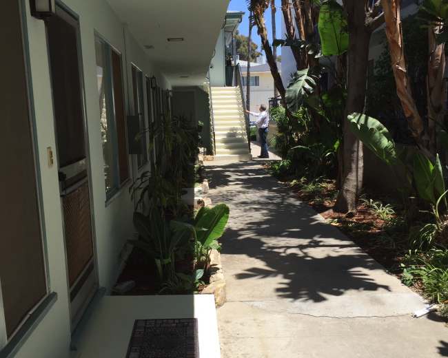 A narrow pathway lined with plants leads between two buildings, with stairs at the end and a person standing in the background.