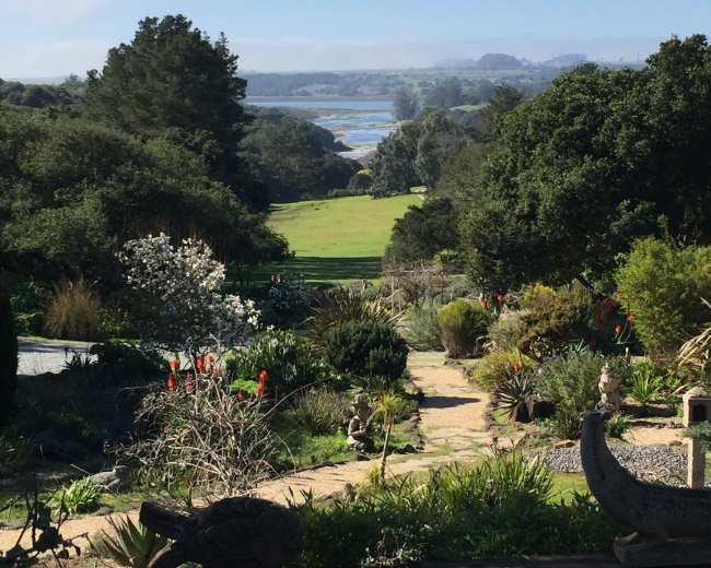 A lush garden with various plants and flowers, leading to a scenic view of a river and hills in the background under a clear blue sky.