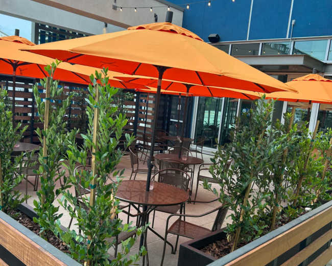 The image shows a patio area of a restaurant, featuring tables and chairs surrounded by planters and orange umbrellas.