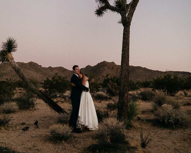 A married couple embraces near a Joshua tree in a desert landscape at dusk.