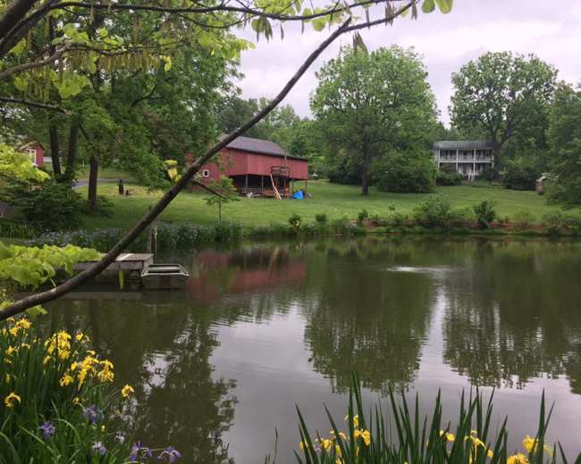 A serene pond reflects the surrounding green trees and a red barn in a rural landscape.
