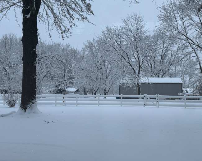 A snow-covered landscape features bare trees and a gray shed behind a white picket fence.