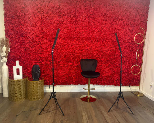 The image shows a room with a vibrant red floral wall, a black barstool sitting on a wooden floor, and two lighting stands positioned on either side.