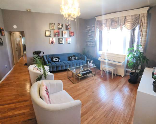 A living room with a blue couch, a white piano, several plants, and framed pictures on the walls.