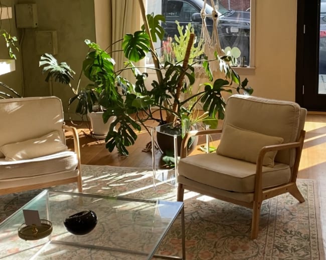 The image features a sunlit room with a glass coffee table, two light-colored chairs, and various indoor plants beside a large window.