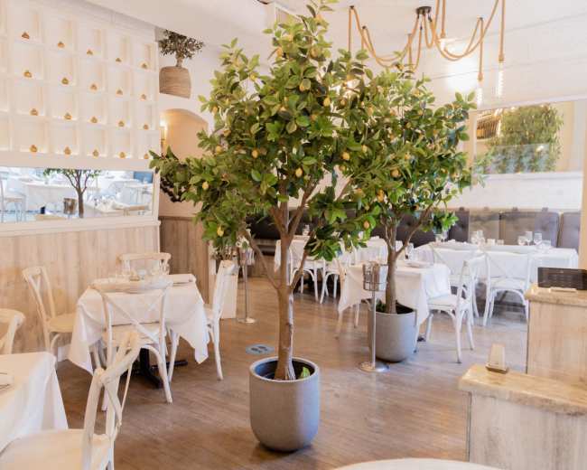 The image shows a bright restaurant interior with white tablecloths, indoor trees, and a modern décor featuring wood and mirrors.