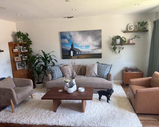 The image shows a cozy living room featuring two sofas, a coffee table, a decorative rug, potted plants, and a wall-mounted painting.