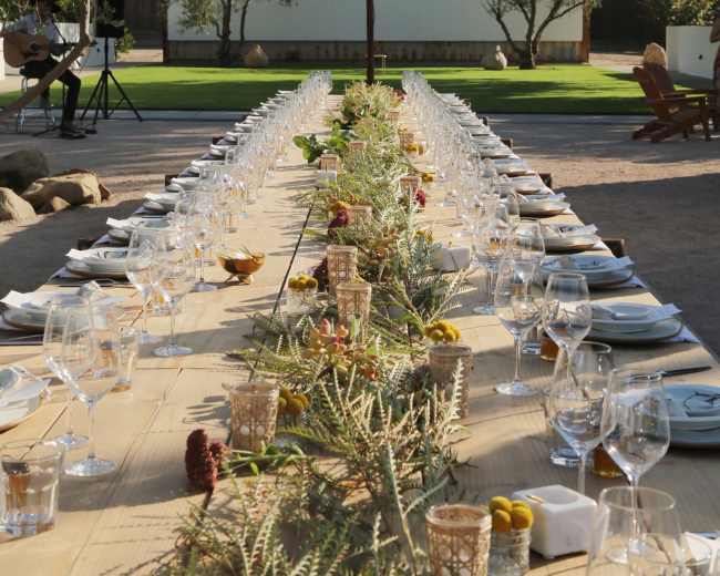 A long dining table is set outdoors with plates, glasses, and a centerpiece of greenery, surrounded by trees and a grassy area.