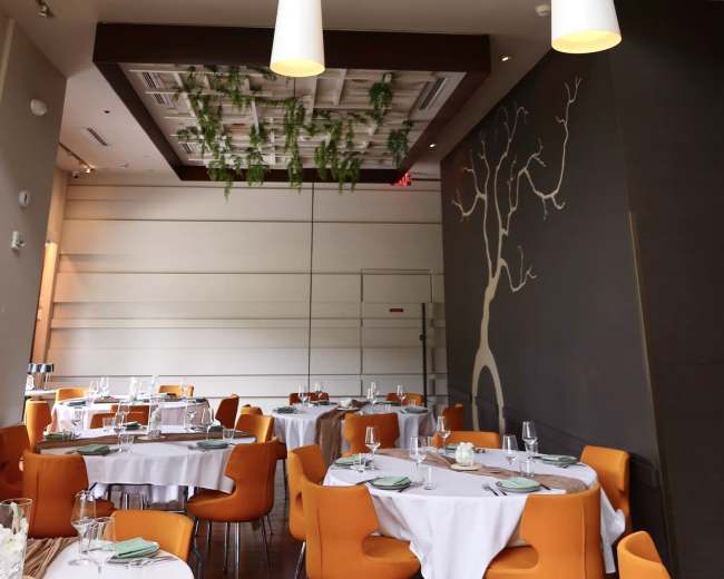 The image depicts a modern restaurant interior with round tables set with white tablecloths and orange chairs, featuring a unique ceiling design with hanging light fixtures resembling branches.