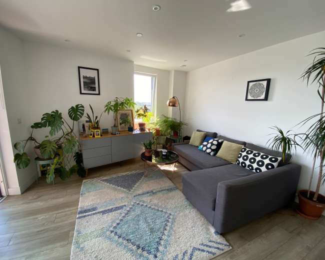 The image shows a modern, well-lit living room with a gray sectional sofa, decorative plants, and a coffee table, all arranged on a patterned area rug.