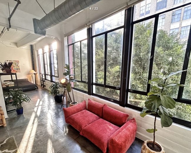 The image shows a bright indoor space with large windows, a red couch, plants, and a bed visible in the background.