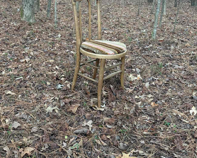 A wooden chair sits alone on the ground, surrounded by a forest of trees and fallen leaves.