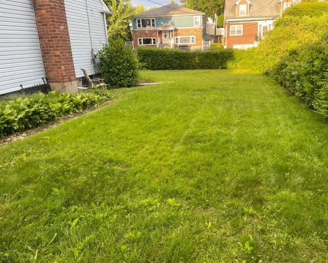 The image shows a grassy backyard bordered by shrubs and trees, with houses visible in the background.