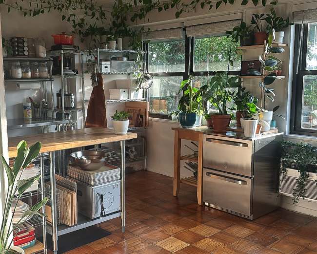 A bright kitchen features stainless steel appliances, a wooden countertop, an assortment of plants on shelves, and large windows allowing natural light to illuminate the space.