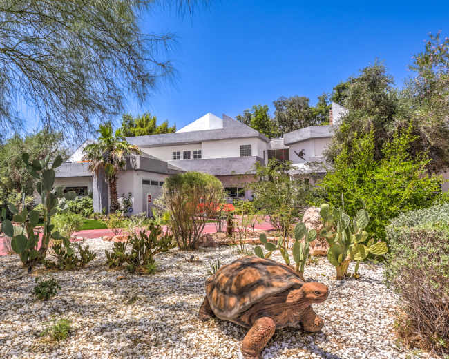 A large tortoise moves through a landscaped garden filled with rocks and desert plants in front of a white house.