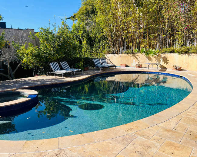 The image shows a kidney-shaped swimming pool surrounded by loungers and lush greenery.