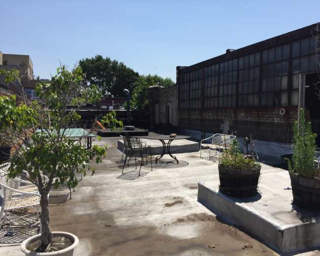 The image shows a rooftop terrace featuring several potted plants, tables, and chairs under a clear blue sky.