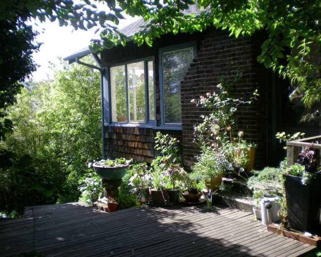 A wooden deck is lined with potted plants and flowers in front of a brick house with large windows.