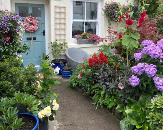 A colorful garden with various plants and flowers surrounds a light blue front door of a house.