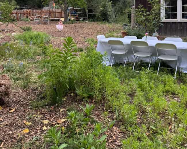 A long table with white chairs is set up in a garden area surrounded by greenery, with a rustic wooden building in the background.