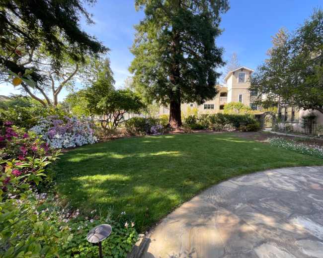 The image shows a well-maintained garden with green grass, flowerbeds of colorful blooms, and a large tree beside a stone path leading to a house.