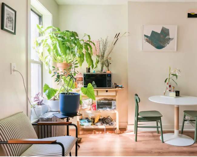 A cozy living space features a small dining table, green chairs, various indoor plants, and a microwave on a wooden shelf.