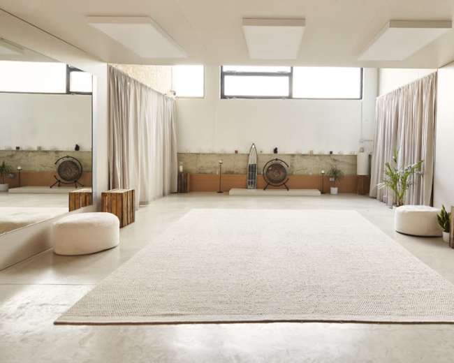 The image shows a spacious, minimalistic room with large mirrors, a light-colored rug, and potted plants, complemented by curtains and wooden furniture.
