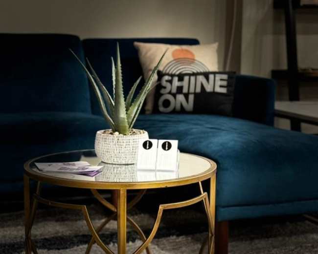 A round gold coffee table with a potted plant sits in front of a blue sofa, accompanied by a decorative pillow and magazines on the table.