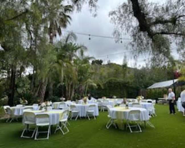 The scene features multiple round tables with white tablecloths set up on a green lawn surrounded by palm trees and tropical plants.
